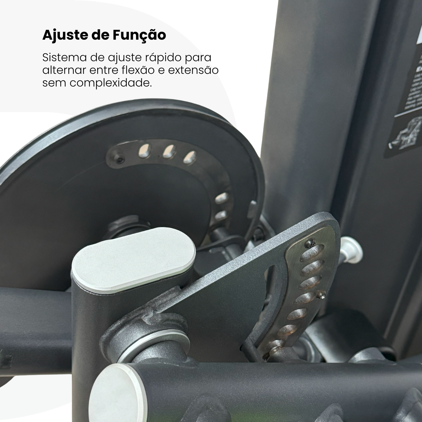 Flexor e Extensor de Joelhos