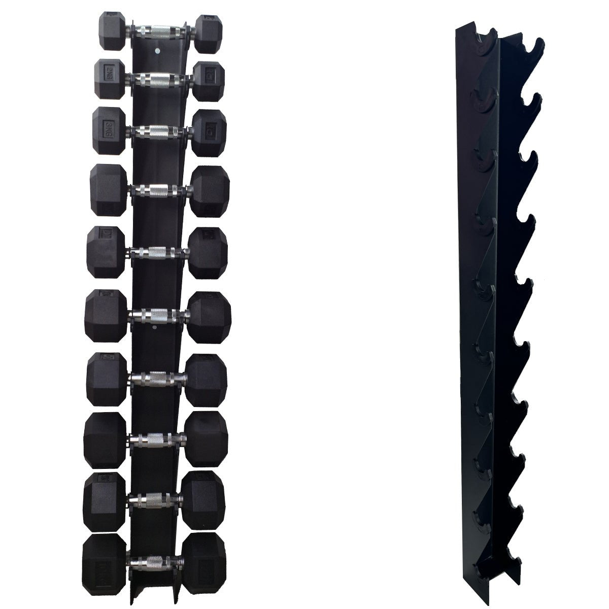 Suporte de Parede para 10 Halteres + Halter 1 a 10kg (Unidade)