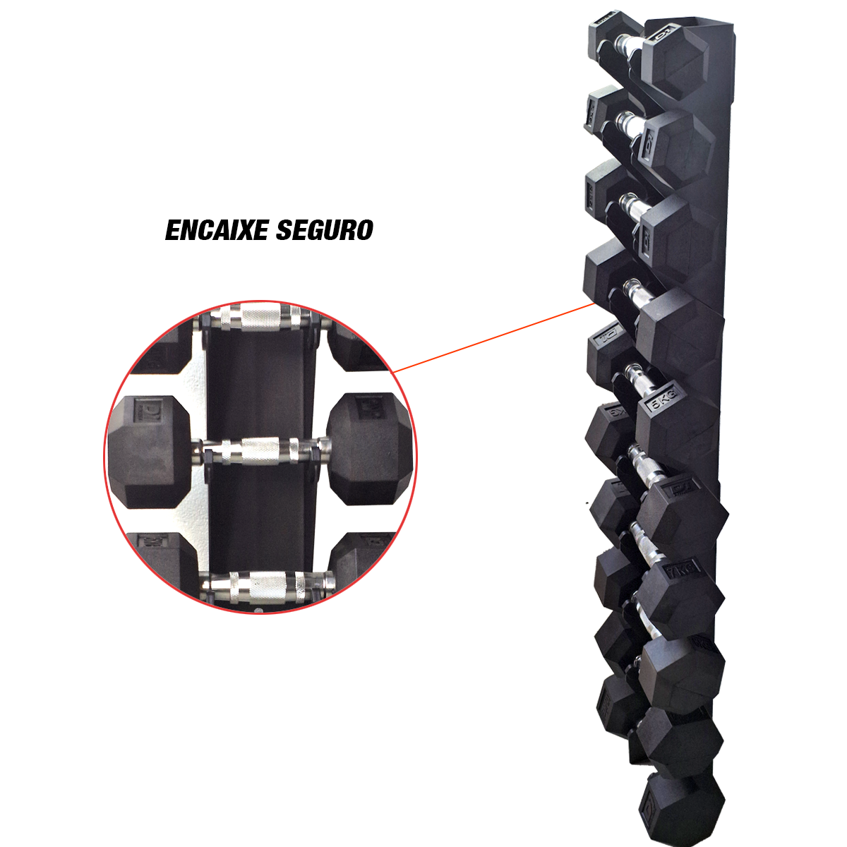 Suporte de Parede para 10 Halteres + Halter 1 a 10kg (Unidade)