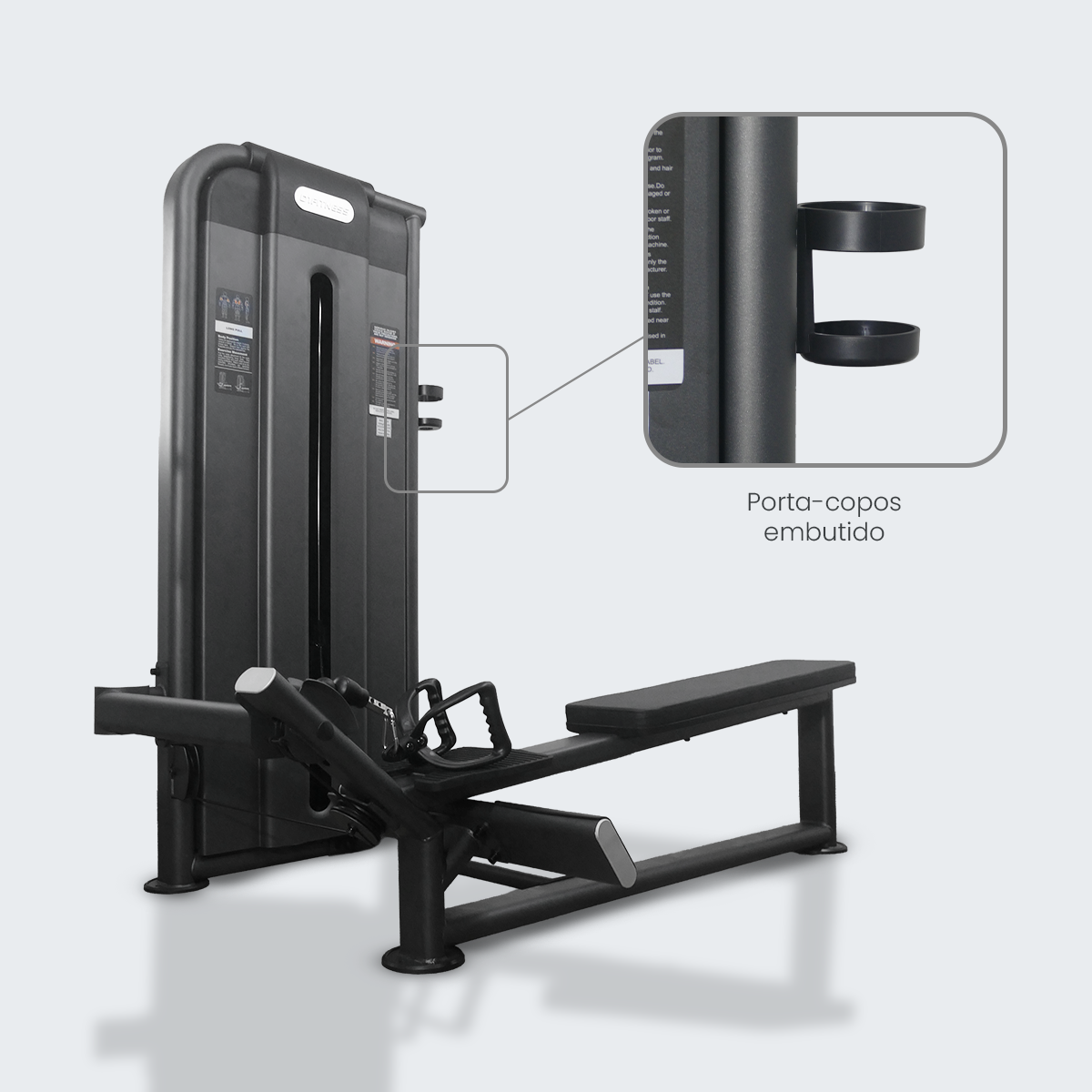 Remada Baixa - D1Fitness