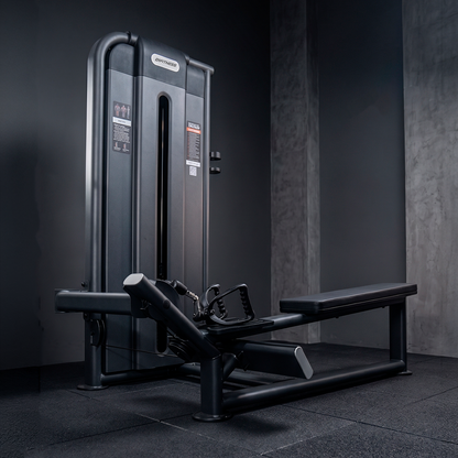 Remada Baixa - D1Fitness