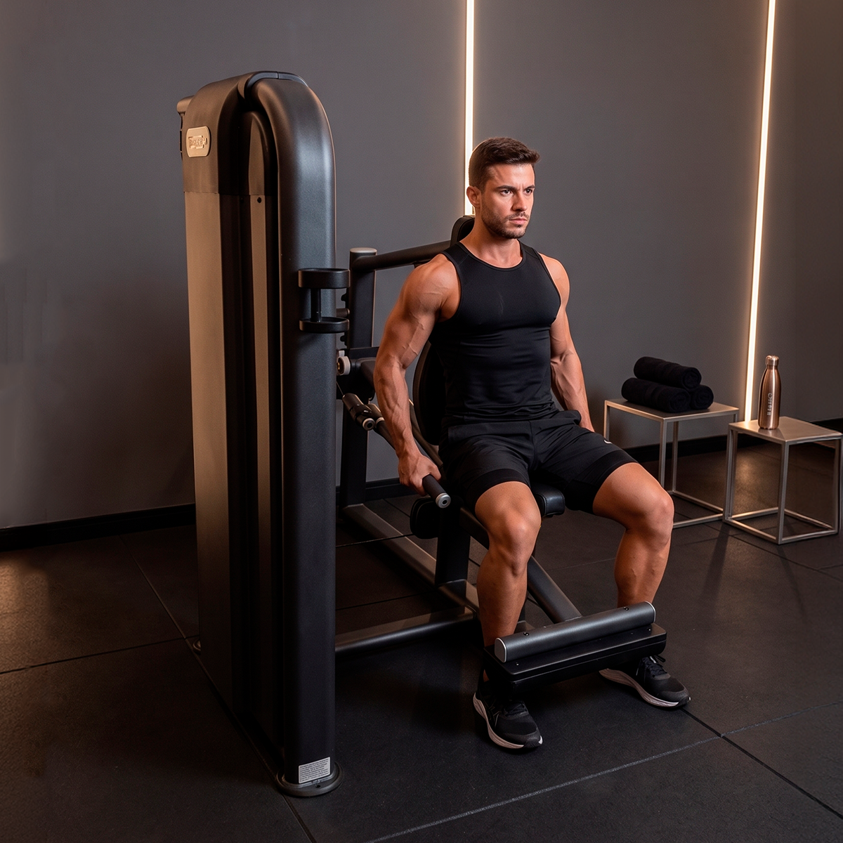 Triceps Paralela (Mergulho) - D1Fitness
