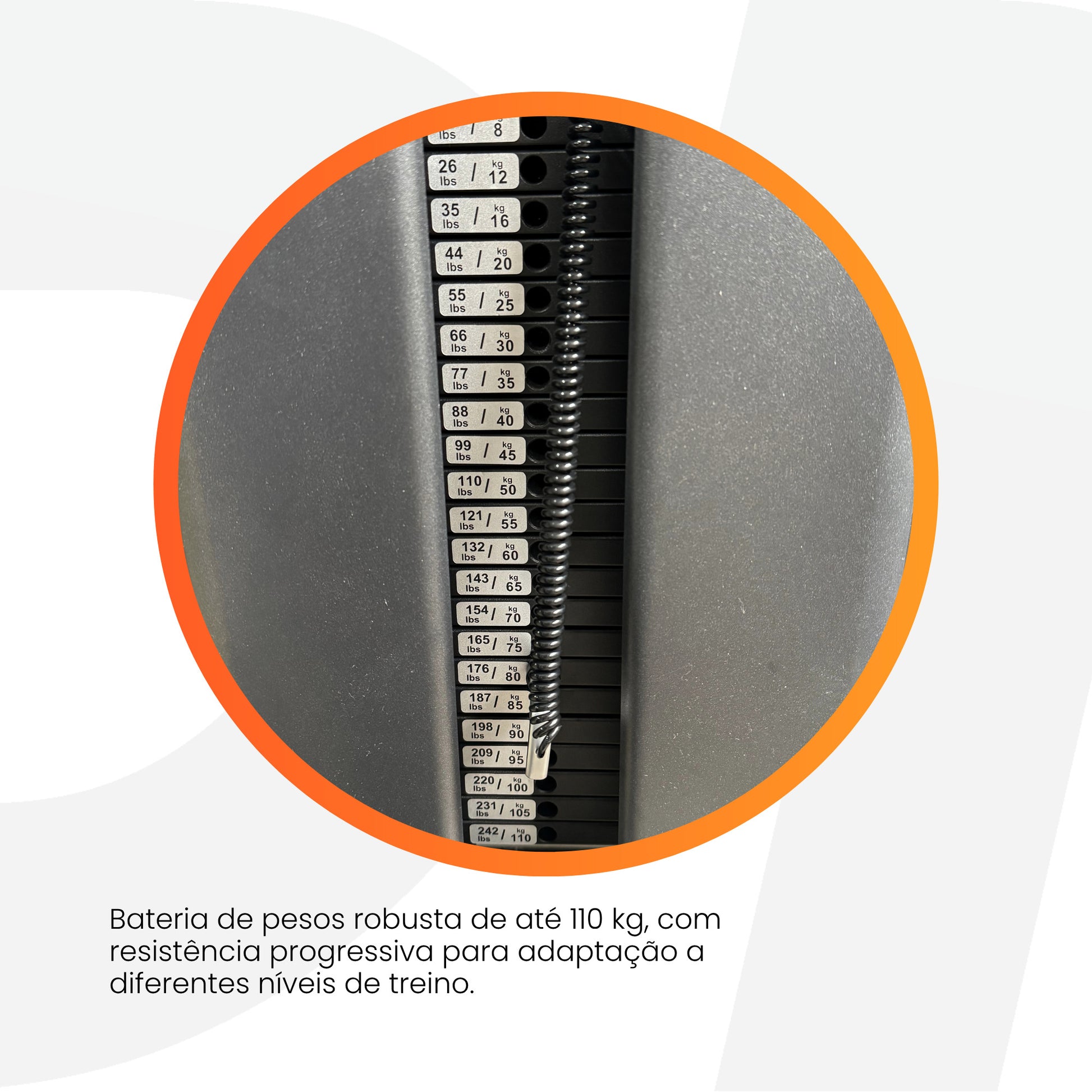 Flexor e Extensor de Joelhos D1fitness