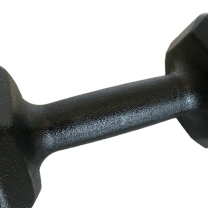 dumbbell-sextavado-de-ferro-pintado-3